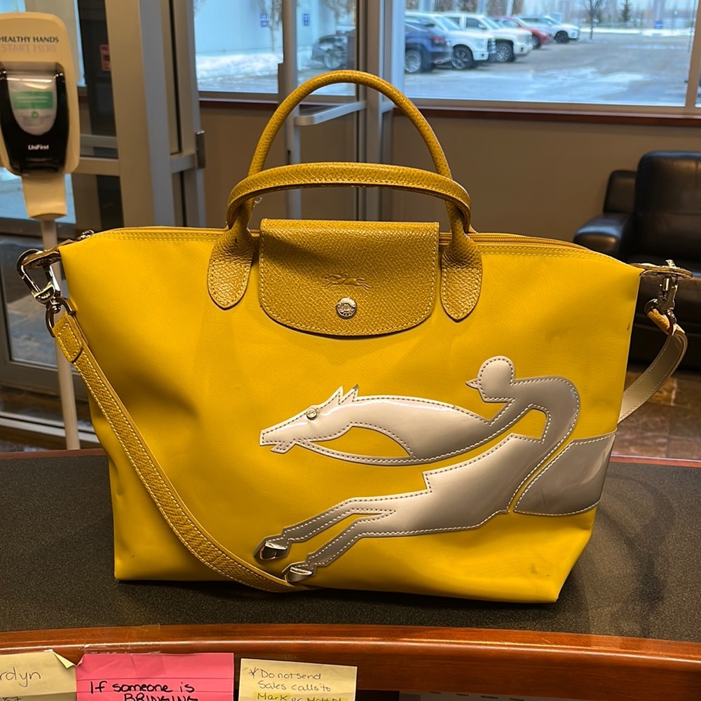 Special Edition Longchamp Year of the Horse tote